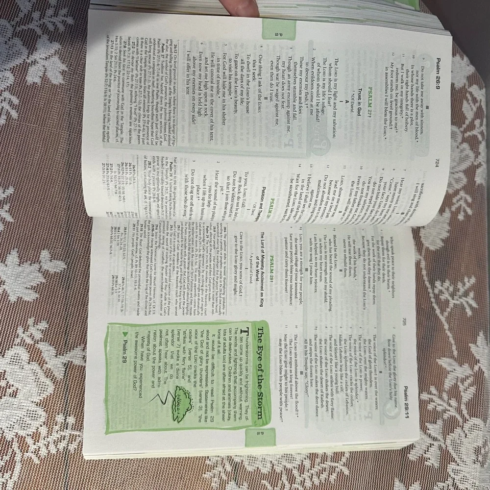 The Catholic Youth Bible‎ Revised Edition New American Bible Saint Marys Press